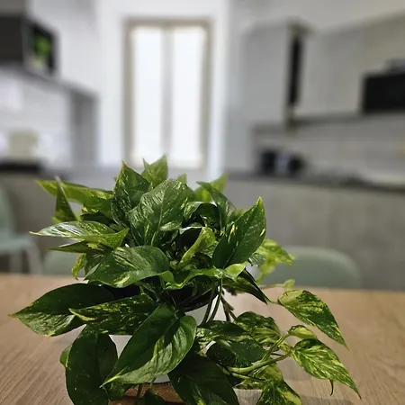 Be Your - Il Ferroviere Apartment